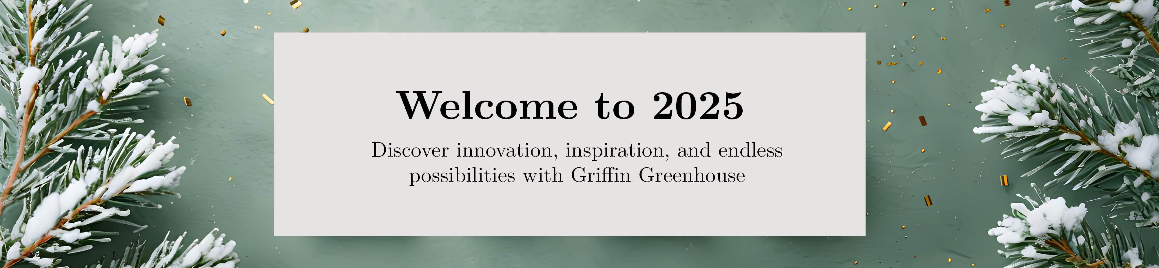 Welcome to 2025 2